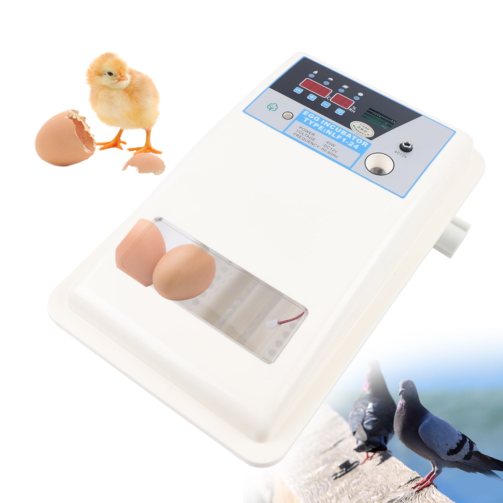 Incubatrice da 24 uova Incubatrice completamente automatica Incubatrice Incubatrice