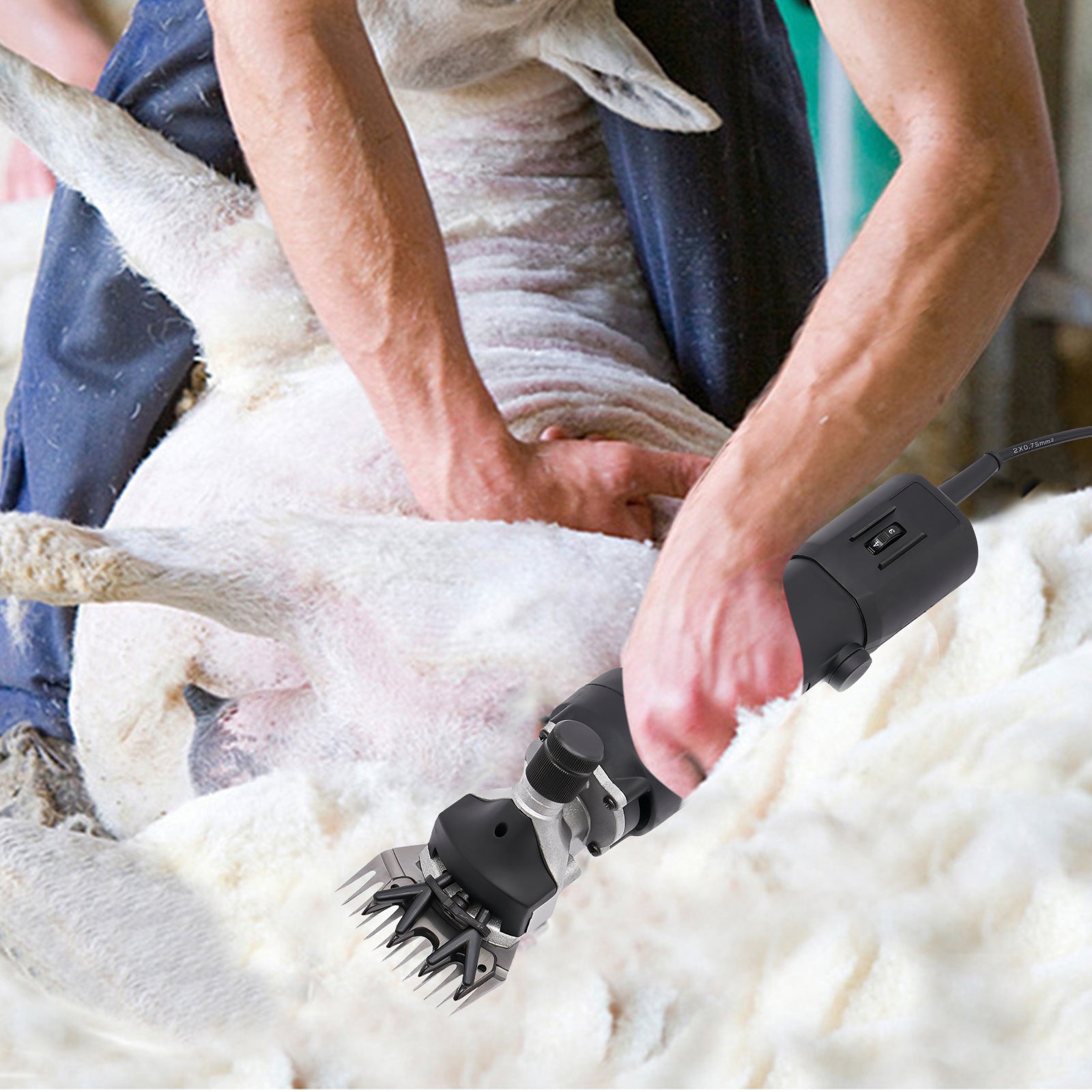 Tosapecore 350W Elettrico Tosatrice professionale per pecore