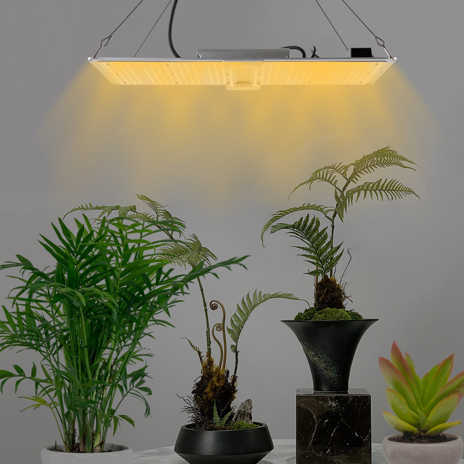 Lampada a LED Grow Light, 450 W, per interni, spettro completo con LM301B e dimmerabile, per piante idroponiche, verdure, fiori