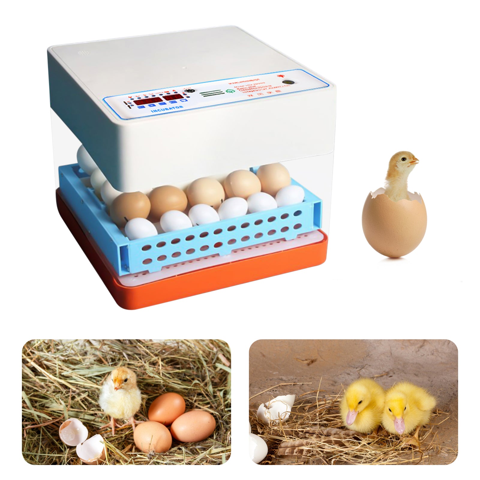 CNCEST Incubatrice 24 uova Rotazione automatica Incubatrice completamente automatica per pollo, anatre, pollame.