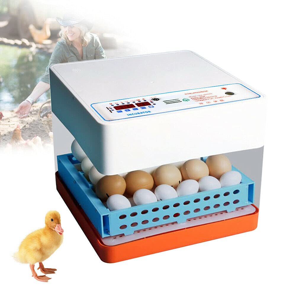 Incubatore a 24 uova, rotazione automatica, con schermo LCD, regolazione della temperatura e luci a LED per pollo, anatre, pollame, piccioni, tomba