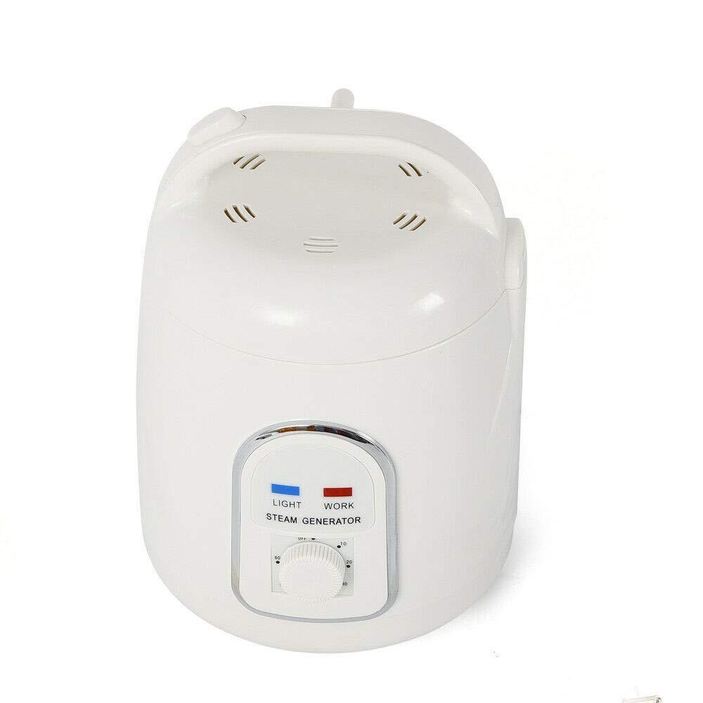Mini vaporizzatore portatile per sauna a vapore, per sauna a vapore, con timer, 850 W-900 W, 220 V, cura della pelle