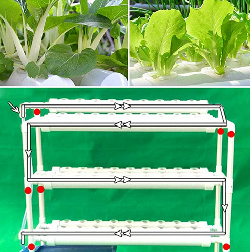 Kit di coltivazione idroponica 36/54/90/108 siti di piante 1/3 strato, Kit di verdure nutrienti, Sistema di piante da giardino